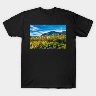 Flatirons And Flowers T-Shirt